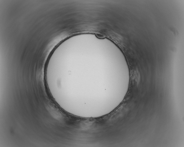 X0000114220148200911061514