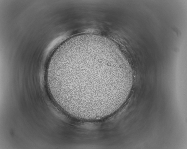 X0000114220149200911061514