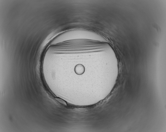 X0000114220150200911061514