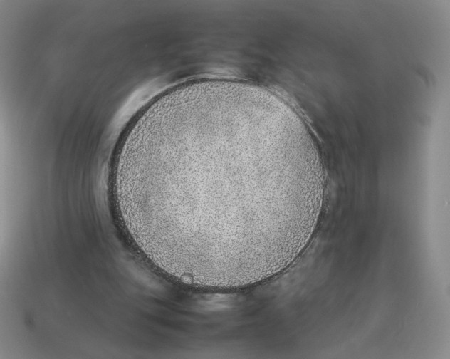 X0000114220151200911061514