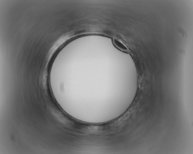 X0000114220152200911061514