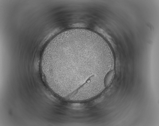 X0000114220153200911061514