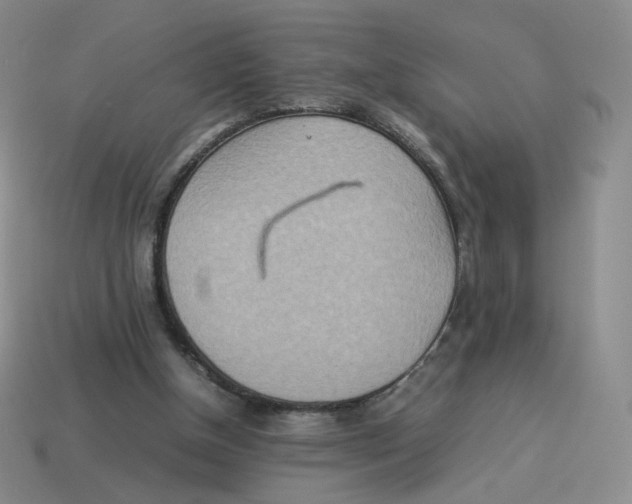 X0000114220154200911061514