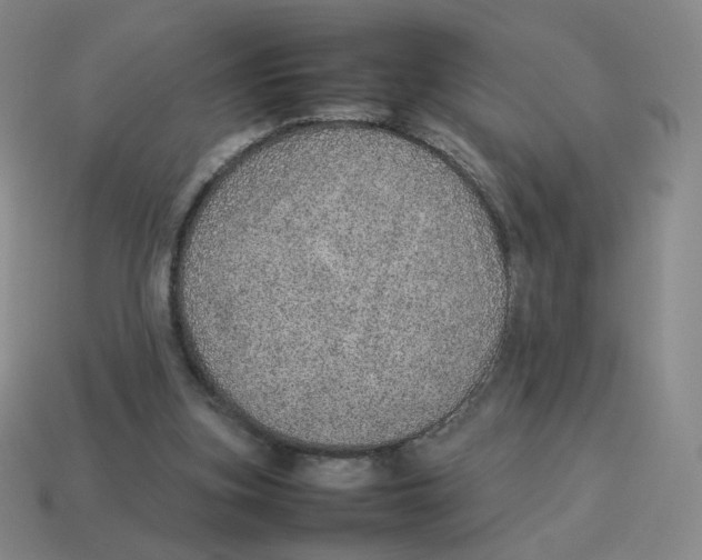 X0000114220155200911061514