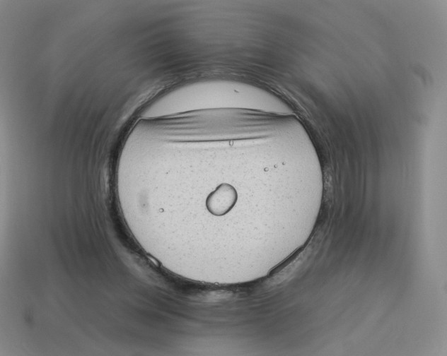 X0000114220158200911061514