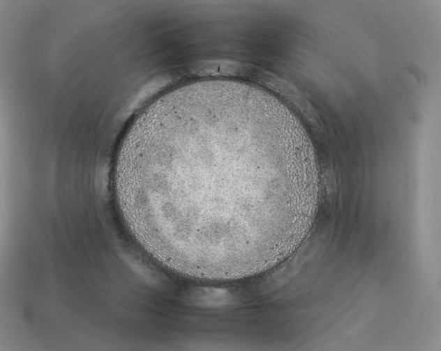 X0000114220159200911061514