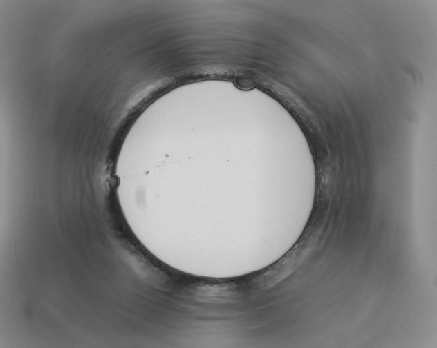 X0000114220160200911061514