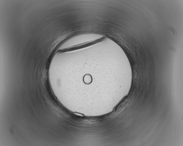 X0000114220164200911061514