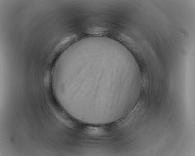 X0000114220167200911061514