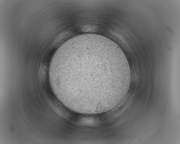 X0000114220171200911061515