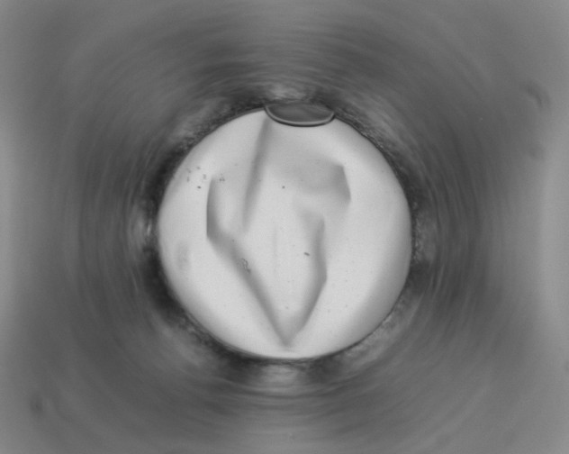 X0000114220176200911061515