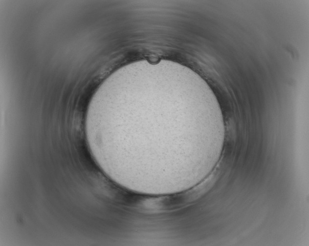 X0000114220178200911061515