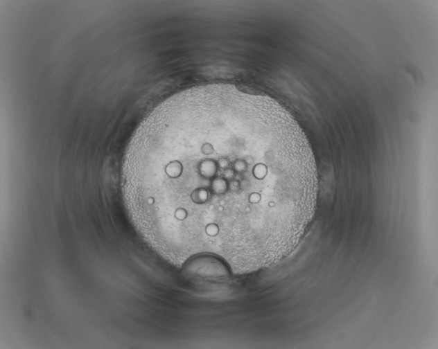 X0000114220179200911061515
