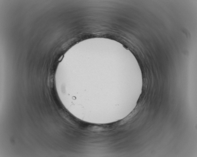 X0000114220180200911061515