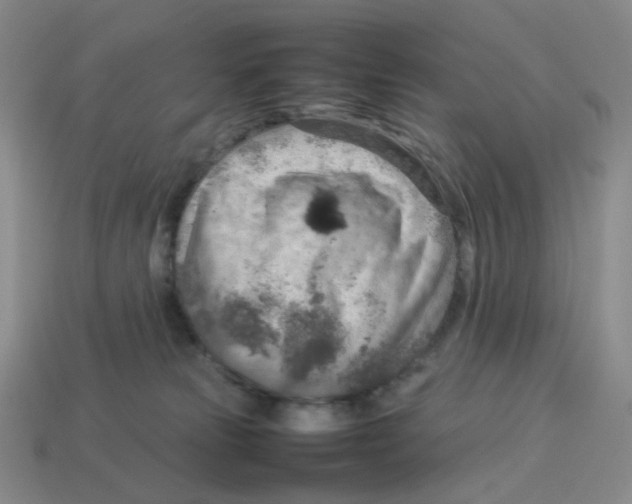 X0000114220181200911061515