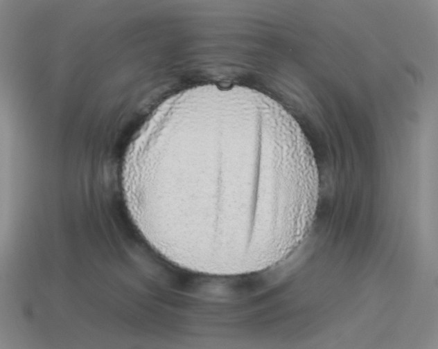 X0000114220182200911061515