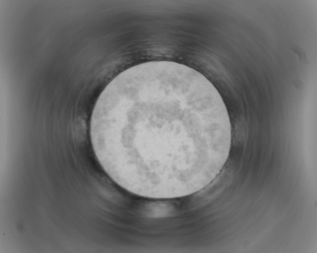 X0000114220183200911061515