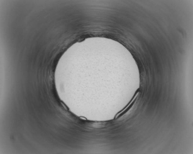 X0000114220184200911061515