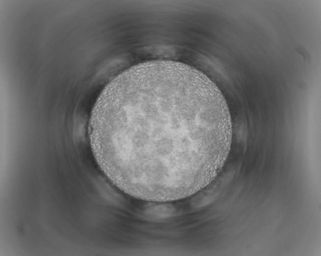X0000114220185200911061515