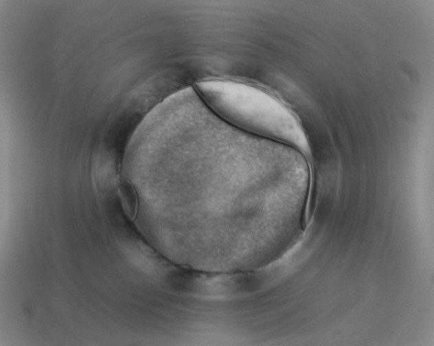 X0000114220186200911061515