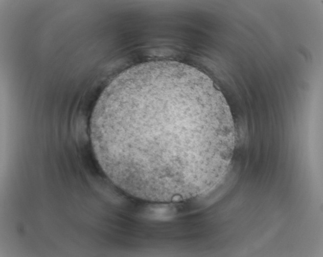 X0000114220187200911061515