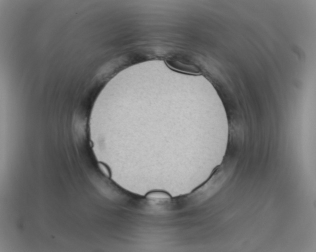 X0000114220188200911061515