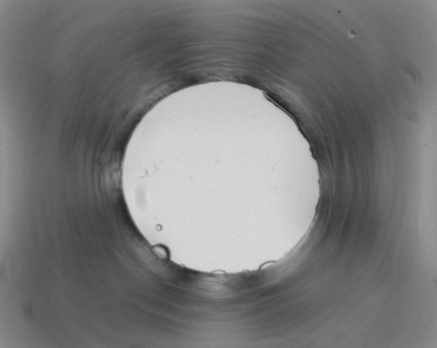 X0000114220190200911061515