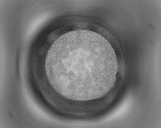 X0000114220191200911061515