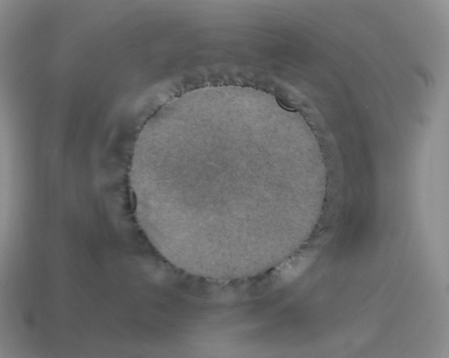 X0000114220192200911061515