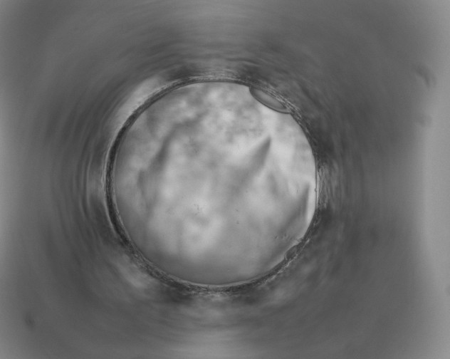 X0000114220195200911061514