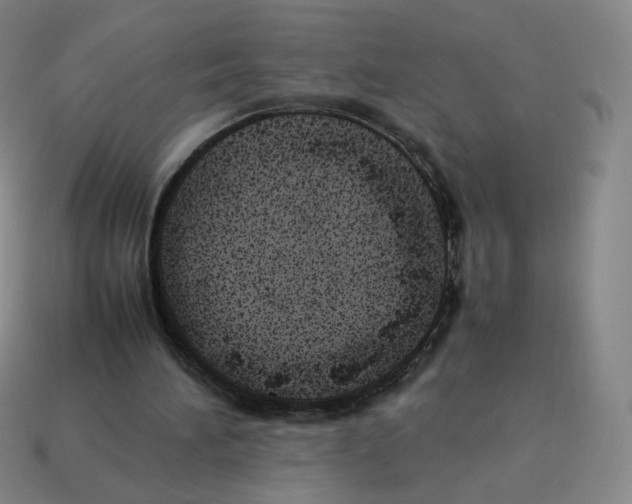 X0000114220196200911061514