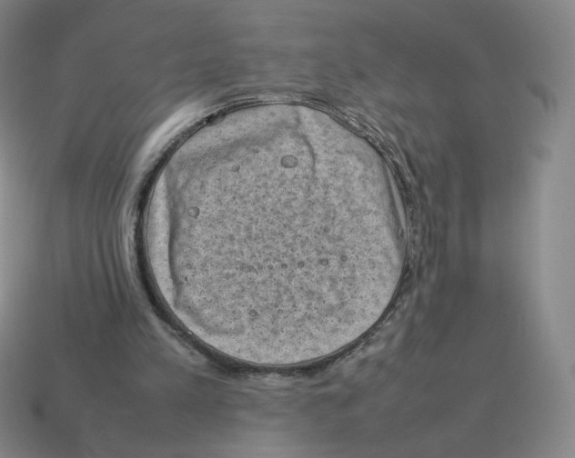 X0000114220197200911061514