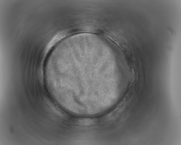 X0000114220198200911061514