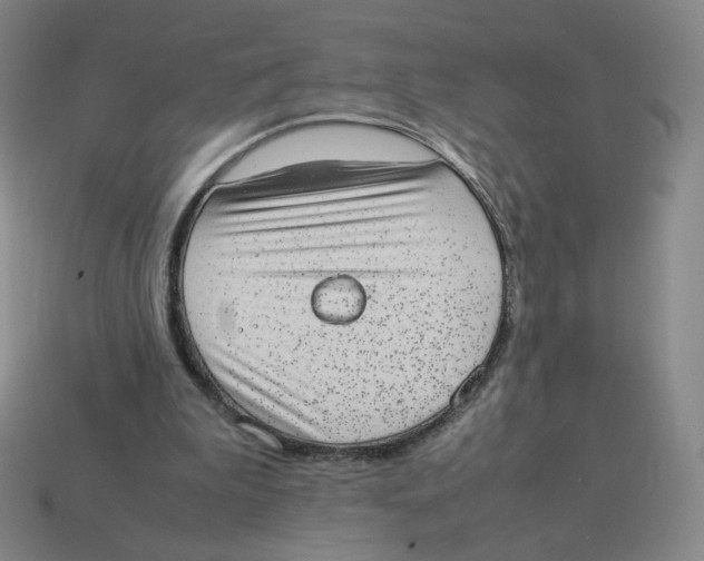 X0000114220199200911061514