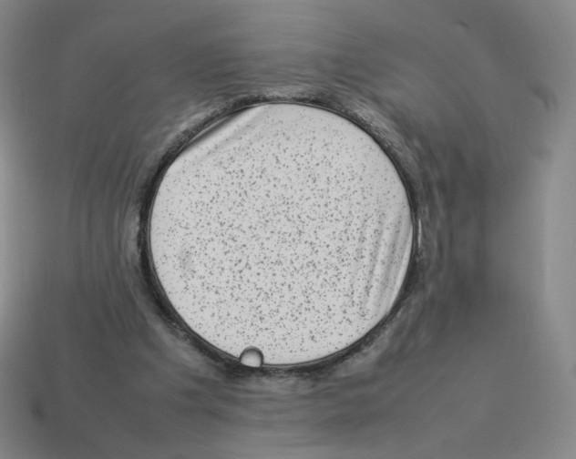 X0000114220201200911061514