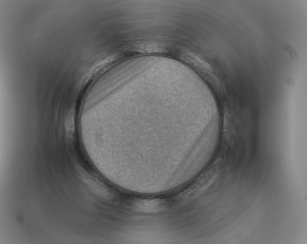 X0000114220202200911061514