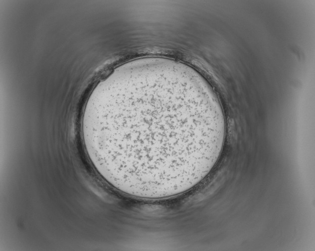 X0000114220203200911061514