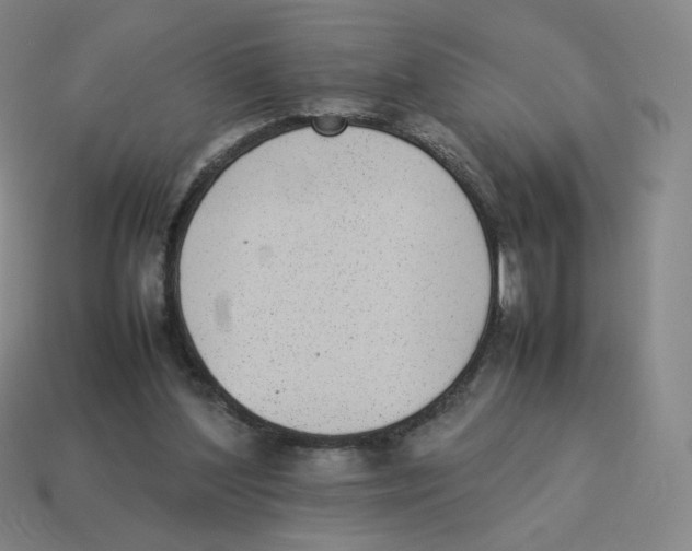 X0000114220204200911061514