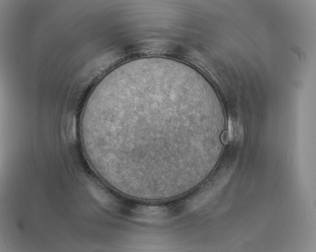 X0000114220205200911061514