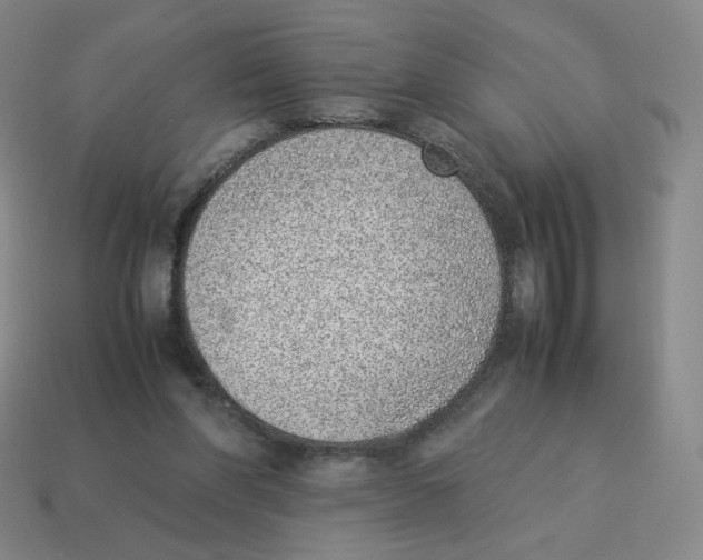 X0000114220206200911061514