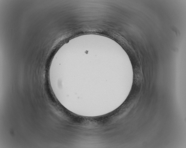 X0000114220207200911061514