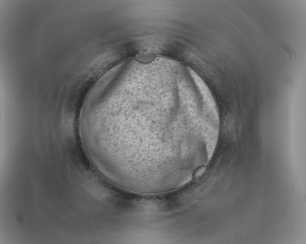 X0000114220209200911061514