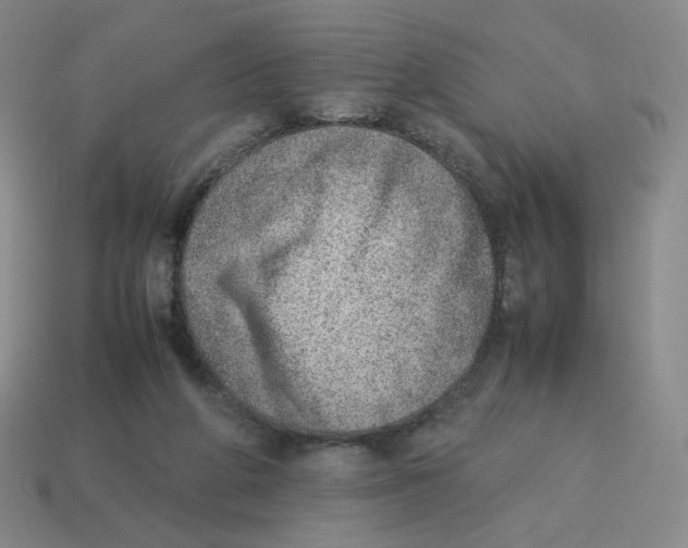 X0000114220210200911061514