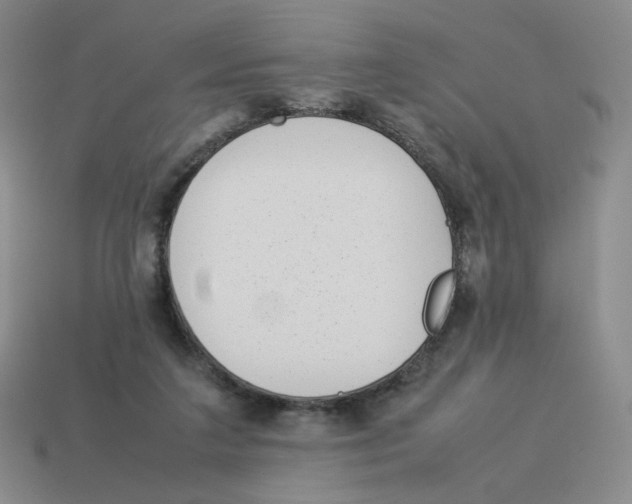 X0000114220211200911061514