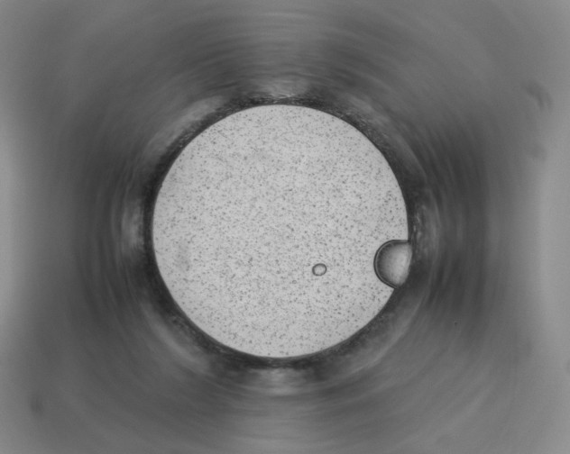 X0000114220212200911061514