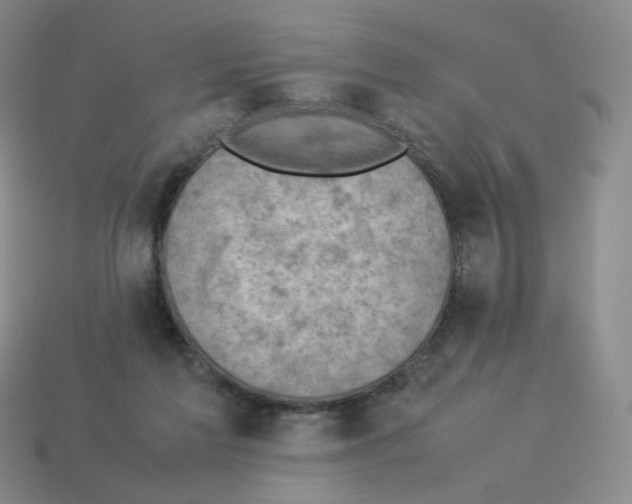 X0000114220213200911061514