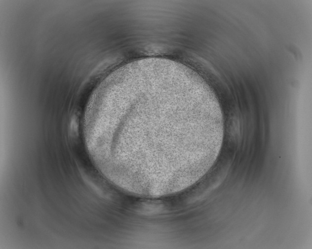 X0000114220214200911061514