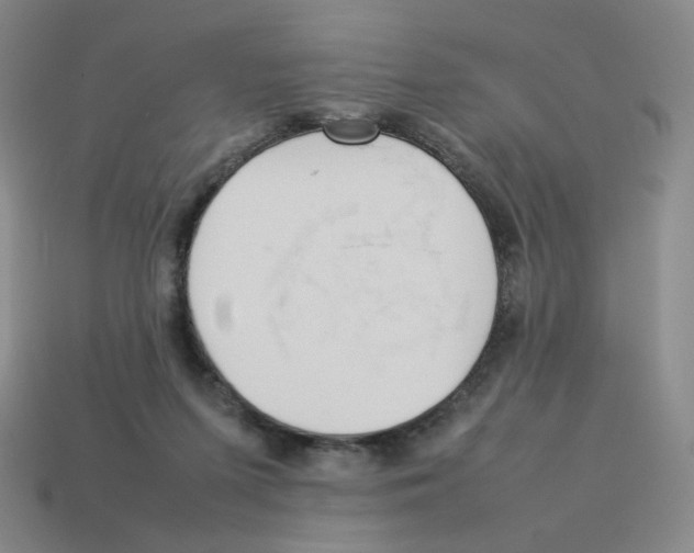 X0000114220215200911061514