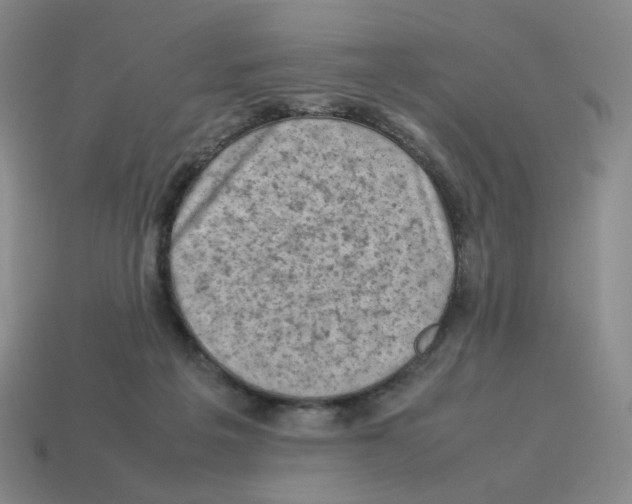 X0000114220217200911061514