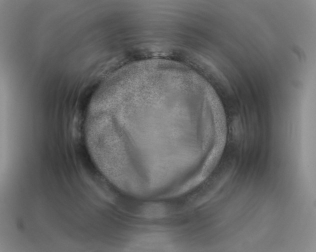 X0000114220218200911061514